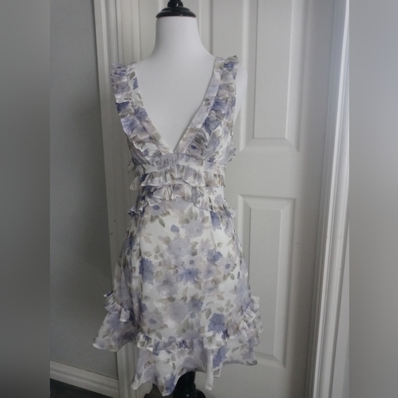 Adorable Spring Mini Dress - Picture 2 of 13